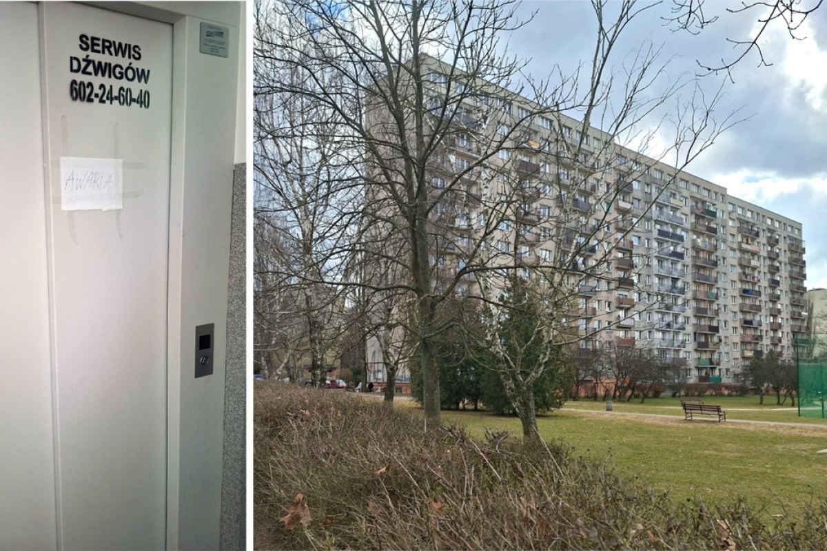 Tajemnicza śmierć w łódzkim wieżowcu. Za „awarią” windy kryło się ciało