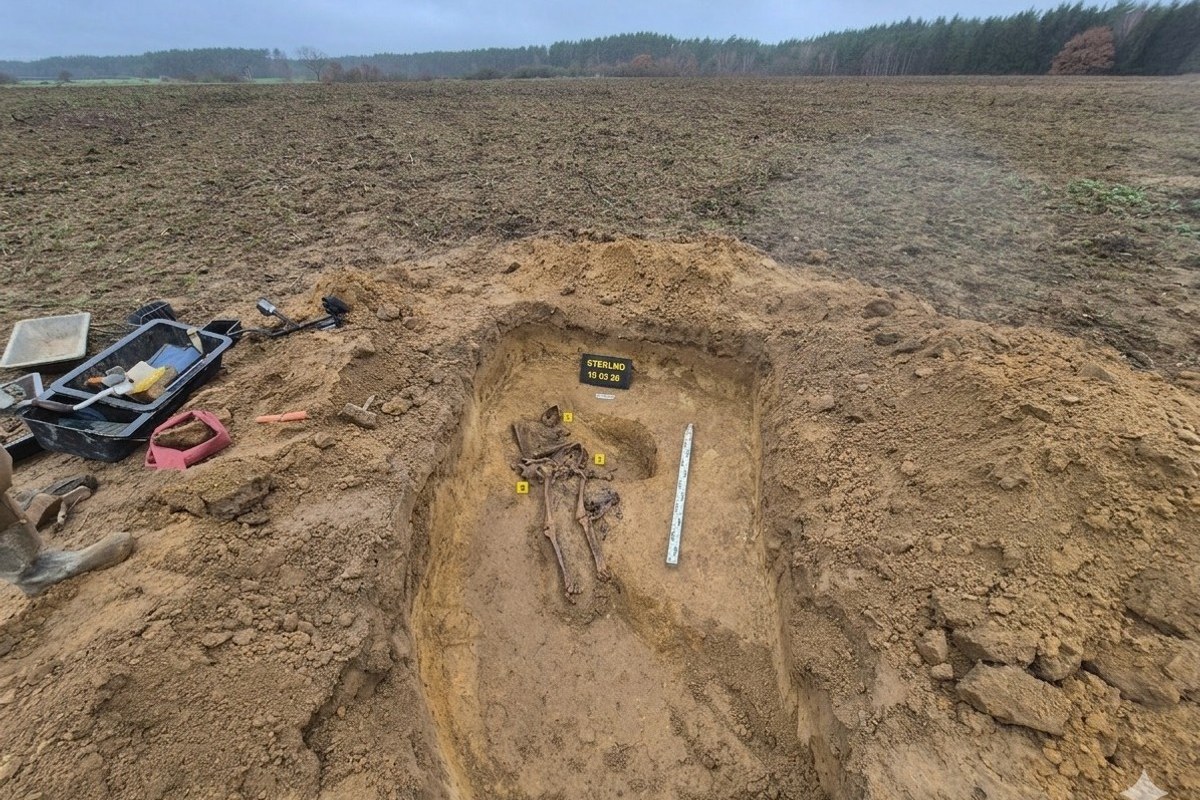 Odkrycie pod Gryfinem: Szczątki niemieckich spadochroniarzy z 1945 roku