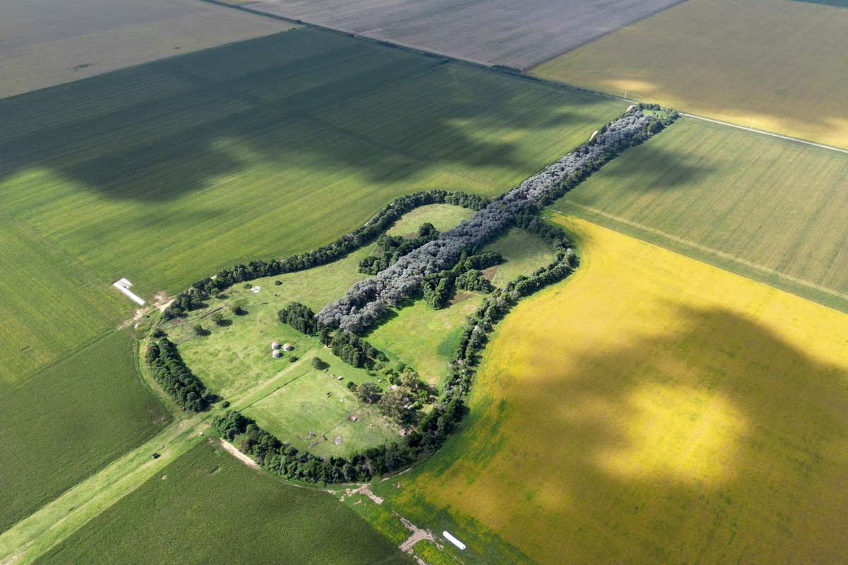 Miłość zapisana w krajobrazie: od argentyńskiej gitary po bieszczadzki znak