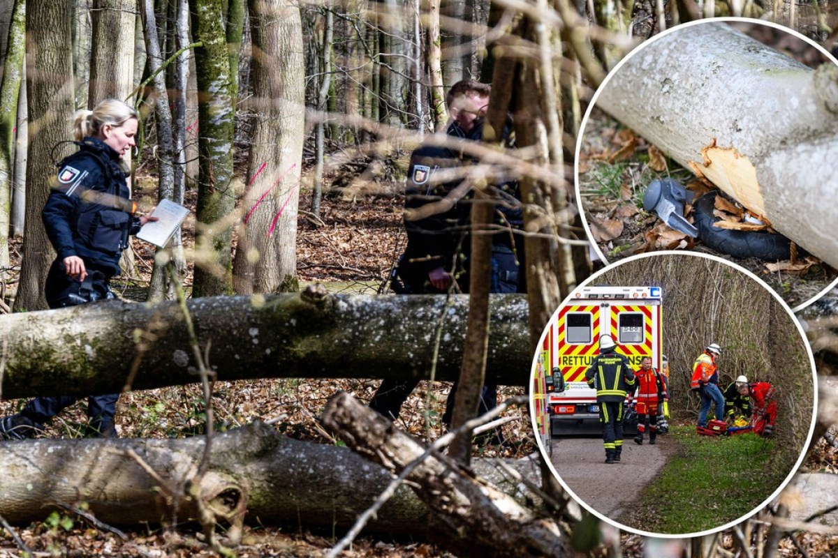 Tragiczny wypadek podczas wielkanocnego poszukiwania pisanek. Trzy ofiary śmiertelne