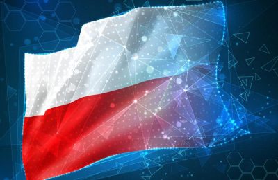 Cyfryzacja polskich mikroprzedsiębiorstw: Samodzielność i potrzeba wsparcia