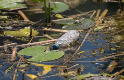 Skażenie bakterią E. coli w wodociągu pod Jelenią Górą. Mieszkańcy bez wody pitnej