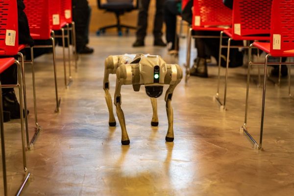 Zdalnie sterowany ratunek: robot ewakuował 77-latkę z frontu w Łyman