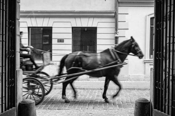 Spór o transport do Morskiego Oka. Fiakrzy krytykują decyzję ministerstwa klimatu