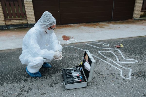 Makabryczne odkrycie w Połańcu. W zaroślach znaleziono szczątki kobiety