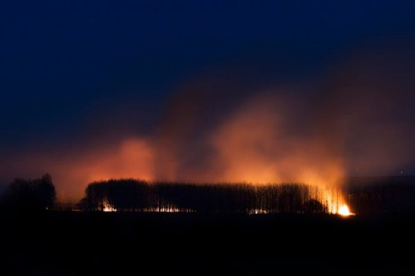 Czescy strażacy walczą z gigantycznym pożarem. To blisko naszej granicy