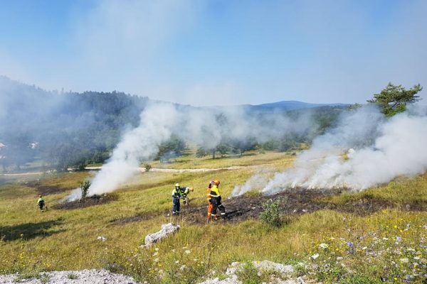 Pożar lasu pod Biłgorajem: setki hektarów w ogniu, ministrowie na miejscu