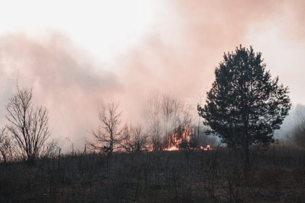 Pożar lasów na Lubelszczyźnie. RCB ostrzega mieszkańców, ogień widać z kosmosu