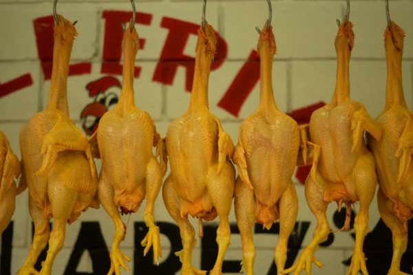 Salmonella w mrożonym mięsie z Ameryki Południowej – alarm dla unijnego rynku żywności