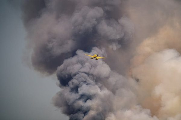 Prokuratura ujawnia wyniki sekcji zwłok pilota. Śledczy bez dostępu do czarnej skrzynki