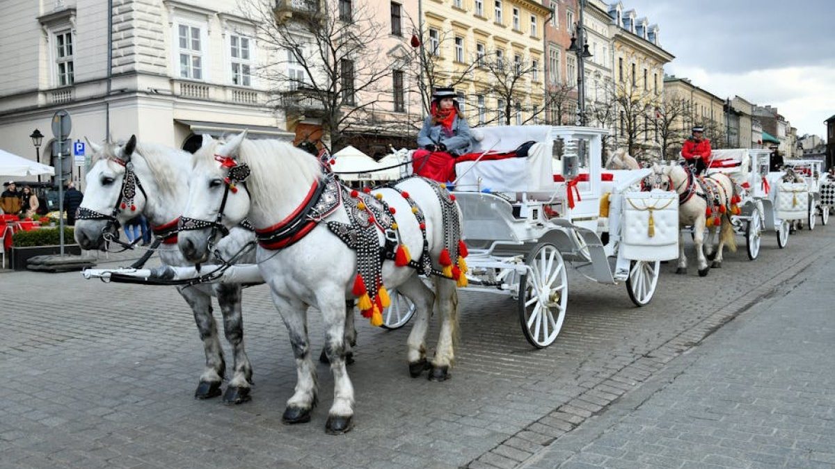 Nagranie z koni pod Morskim Okiem znów budzi gorące emocje w sieci