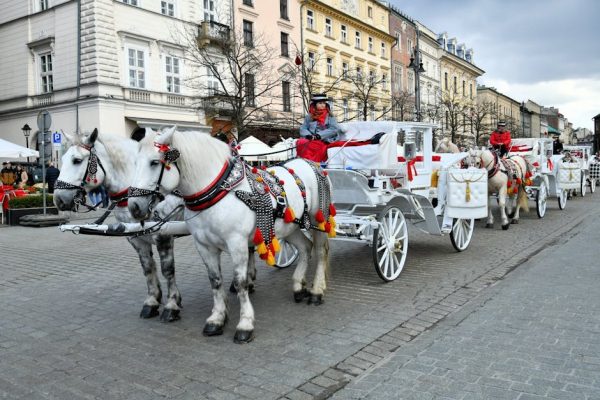 Nagranie z koni pod Morskim Okiem znów budzi gorące emocje w sieci