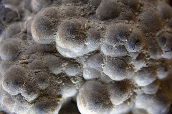 Chińscy badacze łączą minerał z fermentacją, by usprawnić produkcję wodoru
