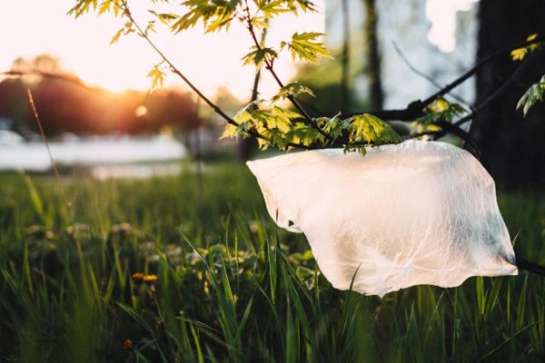 Naukowcy stworzyli „żyjący” plastik, który sam się rozkłada. Przełom w walce z odpadami?