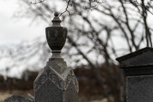 Ile kosztuje pożegnanie pupila? Sprawdziliśmy ceny usług pogrzebowych dla zwierząt