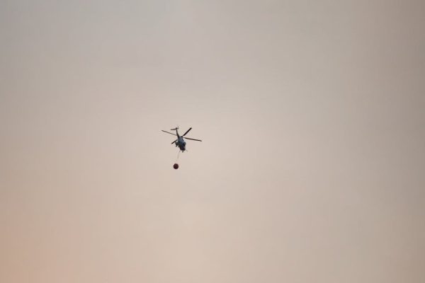 Pożar lasu w Międzylesiu. Walka z ogniem trwa, użyto śmigłowca Black Hawk
