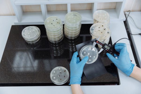 Naukowcy z USA stworzyli żywy materiał, który może zastąpić plastik