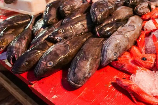 Ceny dorsza nad Bałtykiem biją rekordy. Kilogram już kosztuje prawie 100 złotych