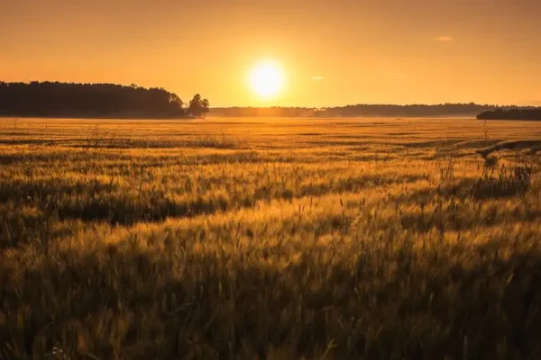 IMGW ostrzega przed upałem – temperatury sięgną 34°C