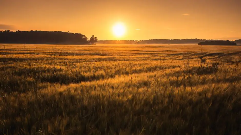 IMGW ostrzega przed upałem – temperatury sięgną 34°C
