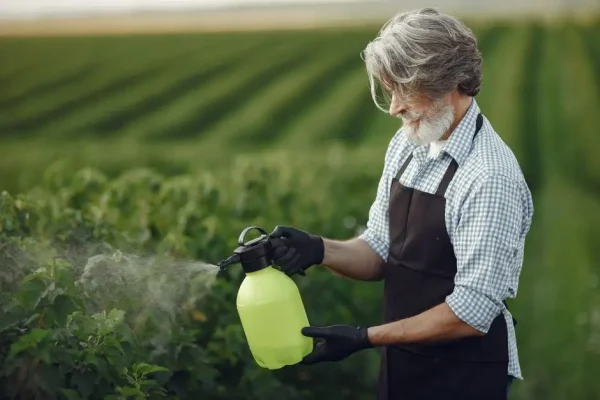 Micropep składa wnioski rejestracyjne biofungicydu Promisin w USA i UE